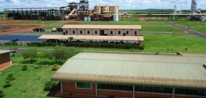 Usina Goiás Bioenergia recebe autorização da ANP para produzir etanol
