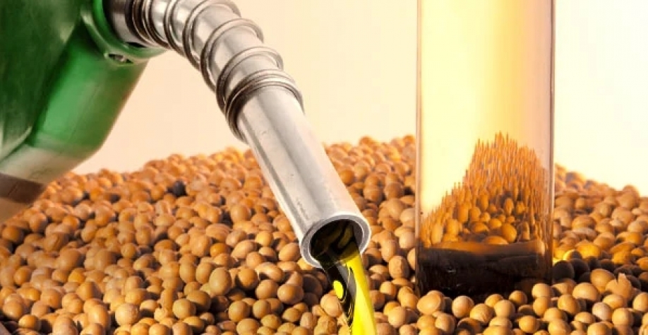 Combustível. Foto: Pixabay