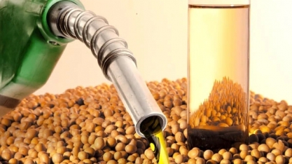 Biocombustível é opção para diminuir dependência do petróleo