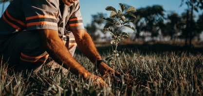 Uisa adota práticas sustentáveis e preserva ecossistema