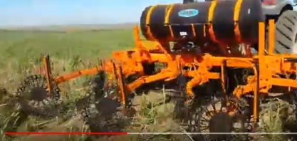 Desenleirador de palha no controle do Sphenophorus levis