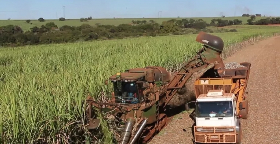 Diesel da cana é alternativa de combustível sustentável — Foto: EPTV/Reprodução