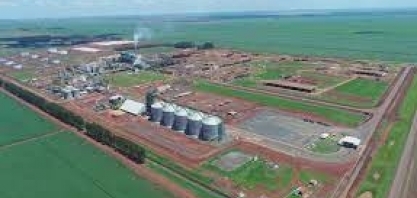 CerradinhoBio fecha 1º tri da safra 22/23 com receita líquida de R$ 733 milhões (+38,6%)