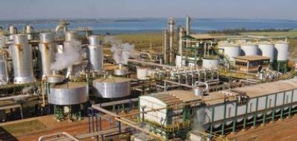 Tereos: safra 22/23 tem expectativa de processar 17 milhões de toneladas de cana-de-açúcar