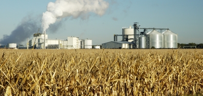Milho/USDA: uso para etanol nos EUA aumenta 0,9% em julho, para 11,33 milhões de toneladas
