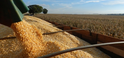 Milho: setor do etanol busca abertura da China para o DDGS
