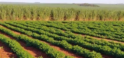 2º Encontro Estadual de Agronegócios acontecerá na sexta-feira em Lins