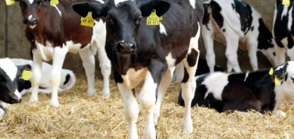 Alta Genetics lança 2ª edição do livro 