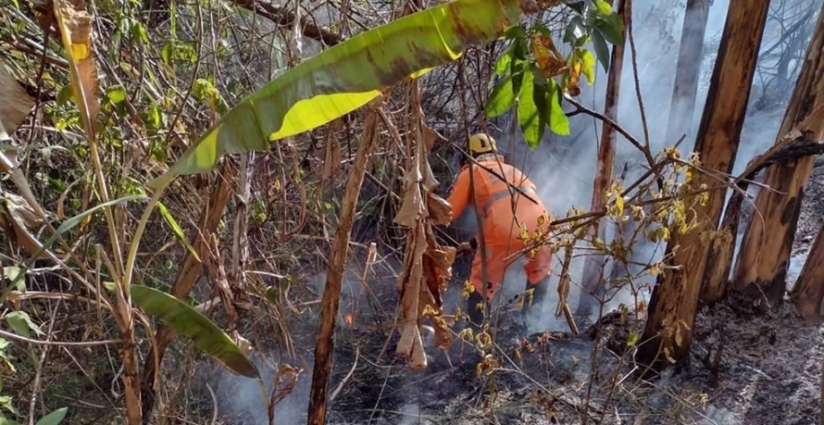 Incêndios destroem 37 hectares de plantação de cana-de-açúcar e vegetações em Guaranésia, MG — Foto: Corpo de Bombeiros