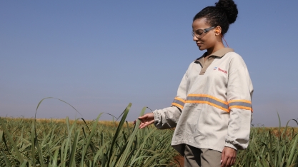 Tereos abre processo seletivo de jovens aprendizes exclusivo para mulheres