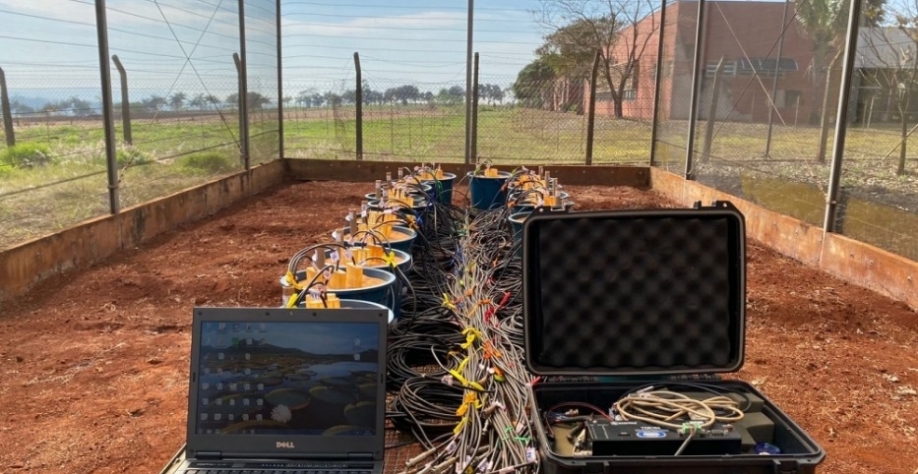 Avaliação do material em campo. Imagens mostram o set-up dos ensaios para liberação do nutriente no solo (foto: acervo dos pesquisadores)