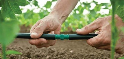 Propósito da Rivulis é verticalizar a produção canavieira