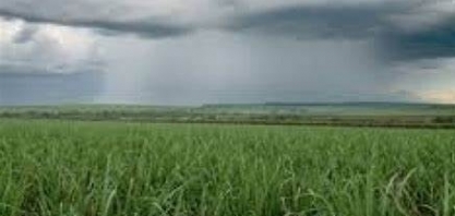 Ciclone extratropical, geada, chuva e frente fria; confira a previsão