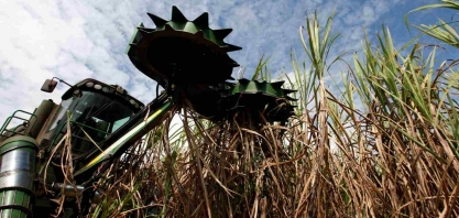 Mercado para biogás cresce no Brasil, mas distribuição ainda é entrave para escala
