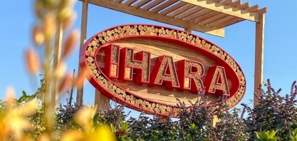 IHARA investe na proteção e valorização dos polinizadores