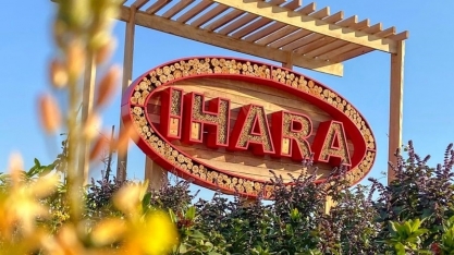 IHARA investe na proteção e valorização dos polinizadores