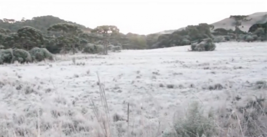 Foto: Giro do Boi/reprodução