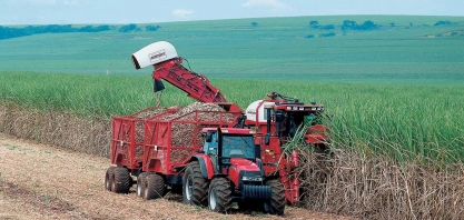 Safra de cana em Minas Gerais acumula 52,5 milhões de toneladas
