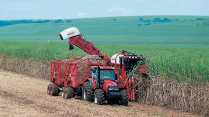 Safra de cana em Minas Gerais acumula 52,5 milhões de toneladas