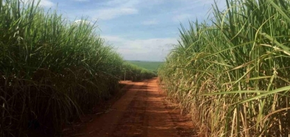 Governo de SP concede crédito de ICMS a distribuidoras de etanol