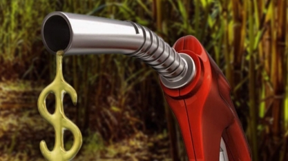 Avança ‘exportação’ da crise do etanol à UE. Embarques totais triplicam em agosto