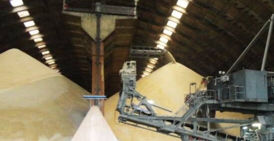 VHP comercializado para o mercado americano foi um dos principais responsáveis pela redução de preço - Foto: ARQUIVO 