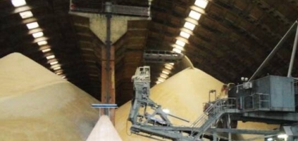 Consecana-AL/SE: ATR tem queda de 1,3%