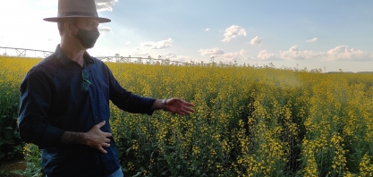 Escala de produção é o grande desafio para diversificar matérias-primas para biodiesel, diz pesquisador da Embrapa