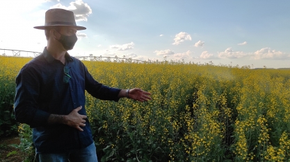 Escala de produção é o grande desafio para diversificar matérias-primas para biodiesel, diz pesquisador da Embrapa