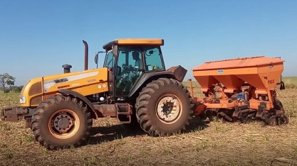 As chuvas ainda não chegaram, por isso, ainda essa é a melhor época para o controle do Sphenophorus levis