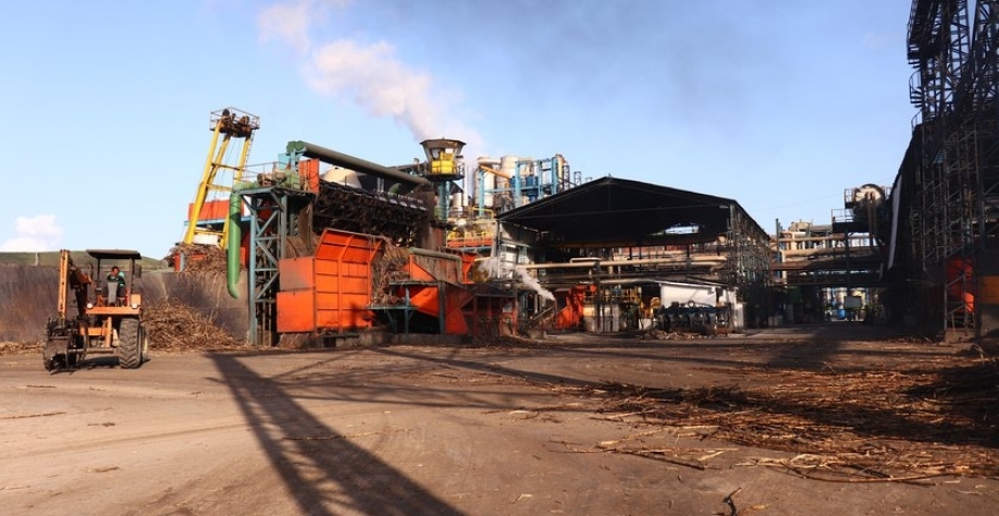 No ponto de vista financeiro, Pedro Robério afirma que a safra 22/23 tem um viés diferenciado face a moagem passada. - Foto: Assessoria