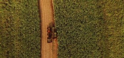 Moagem e produção crescem na 1ª quinzena de setembro