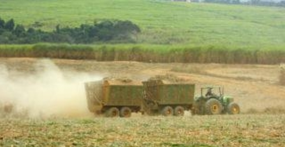 Foto: Neide Makiko/ Embrapa Informática Agropecuária