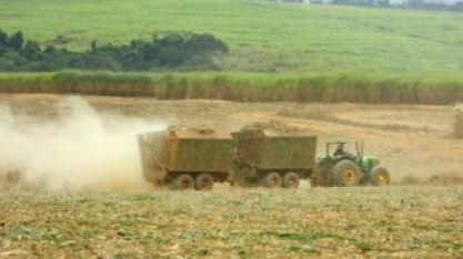 Produção de cana-de-açúcar deve cair 5% em SP