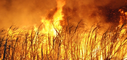Usina Estiva adota tecnologia de ponta para controlar focos e reduzir o risco de incêndios nos canaviais