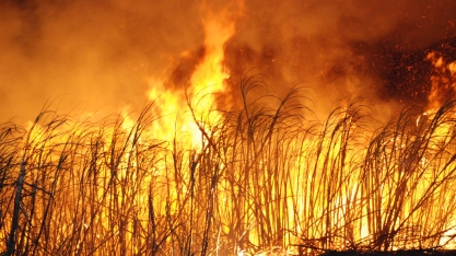 Usina Estiva adota tecnologia de ponta para controlar focos e reduzir o risco de incêndios nos canaviais