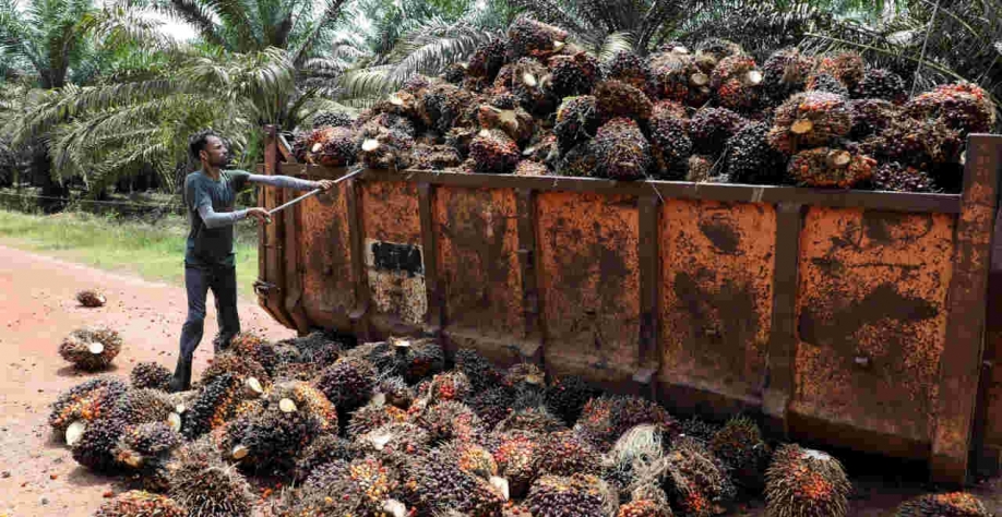 Na Indonésia, os estoques subiram acentuadamente por causa da redução das exportações do início do ano  (Imagem: REUTERS/Lim Huey Teng)