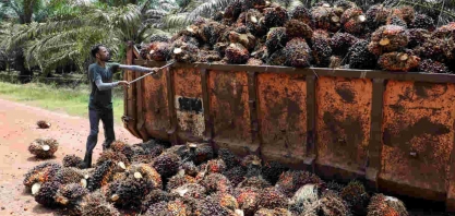 Estoques de óleo de palma da Malásia podem atingir máxima de 3 anos e meio