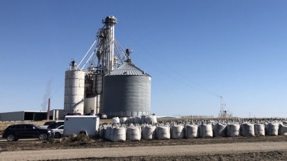 EUA: milho para etanol mostra consumo da gasolina sentindo economia subindo mais devagar