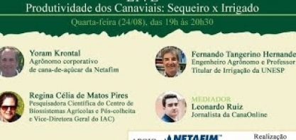 Produtividade dos Canaviais: Sequeiro x Irrigado