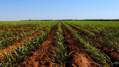 Definidas datas da maior feira do setor sucroenergético de MS