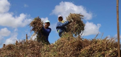Se depender da Usina Coruripe, alagoano ficará com a barriga cheia
