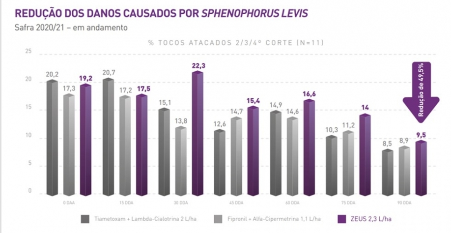Redução dos danos nos canaviais a partir do 2º corte com o uso com Zeus no controle de Sphenophorus