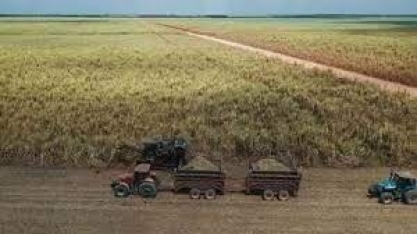 Mês de setembro começa com moagem de cana em Alagoas