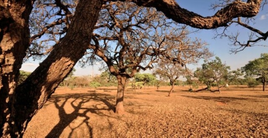 Foto: Agência Brasil/arquivo