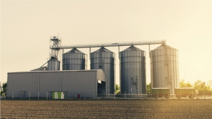 Abiove eleva projeção para soja e safra atual deve chegar a 126,9 milhões de toneladas