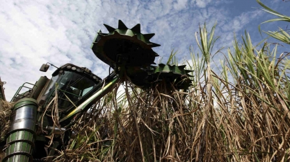 Etanol derrubado deixa produtor de cana spot na mão, mesmo em safra de melhora cada vez mais parcial
