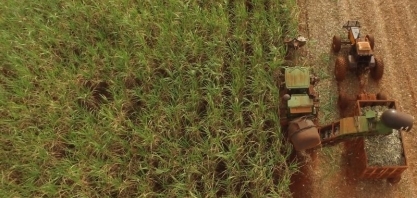 Exportações do agro de Minas Gerais cresceram 46% até agosto