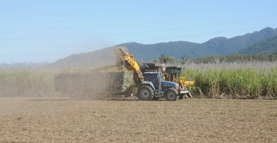 Segundo o CTC, a produtividade subiu de 69,5 toneladas por hectare, na safra 2021/2022, para 74,5 t/ha na atual safra (Imagem: Pixabay/KathyB-Photos)