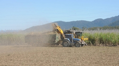 Chuvas elevam produtividade da cana do centro-sul, mas afetam ATR, diz CTC